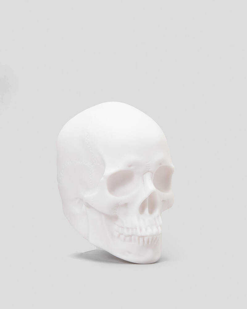 Light Up Skull Speaker