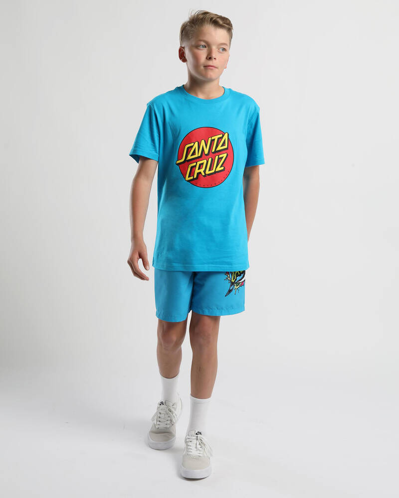 Santa Cruz Boys' Classic Dot Puff Front T-Shirt for Mens