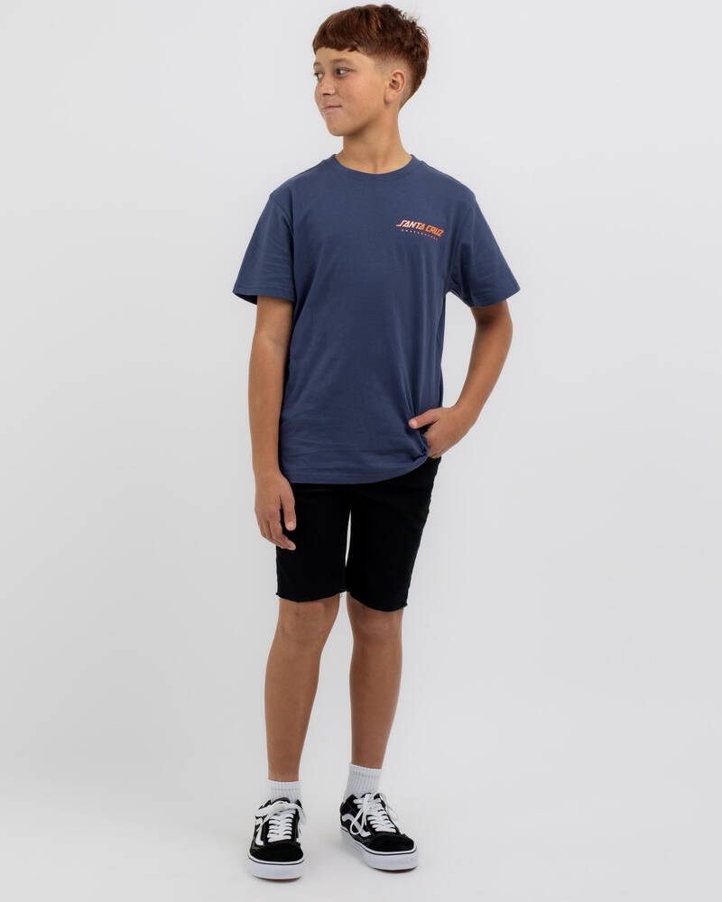 Santa Cruz Boys' Snake Dot Strip T-Shirt for Mens