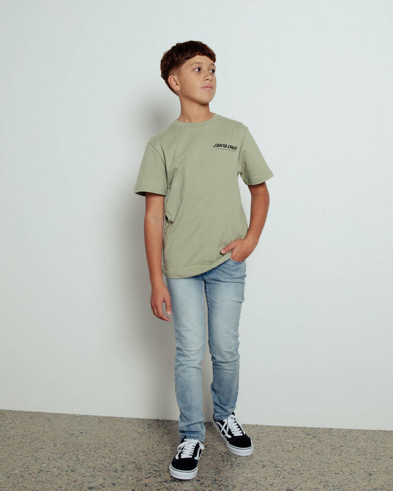 Santa Cruz Boys' Snake Dot Strip T-Shirt for Mens