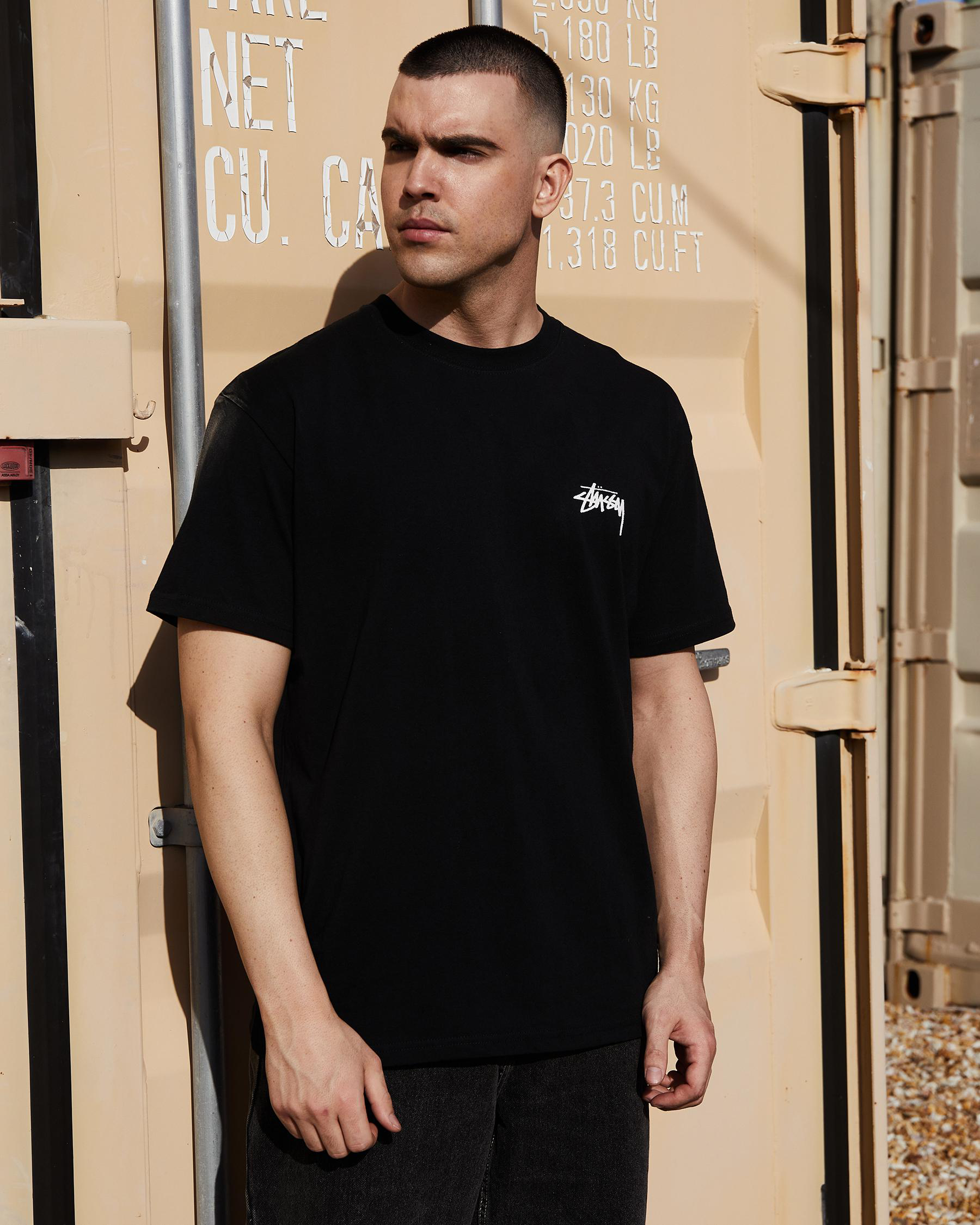 Stussy Pair Of Dice Solid T-Shirt In Black - Fast Shipping & Easy ...